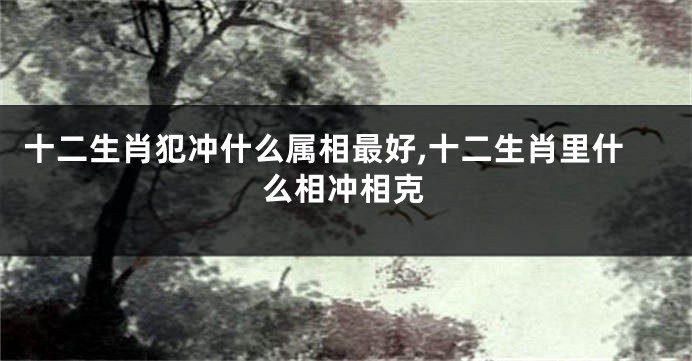 十二生肖犯冲什么属相最好,十二生肖里什么相冲相克