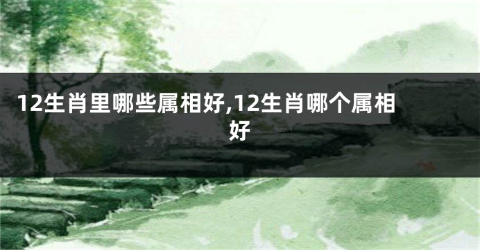 12生肖里哪些属相好,12生肖哪个属相好