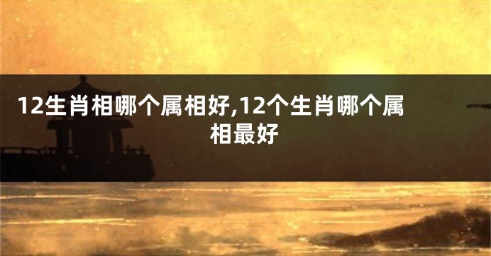 12生肖相哪个属相好,12个生肖哪个属相最好