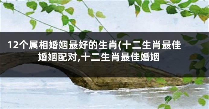 12个属相婚姻最好的生肖(十二生肖最佳婚姻配对,十二生肖最佳婚姻