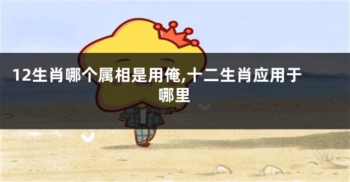 12生肖哪个属相是用俺,十二生肖应用于哪里