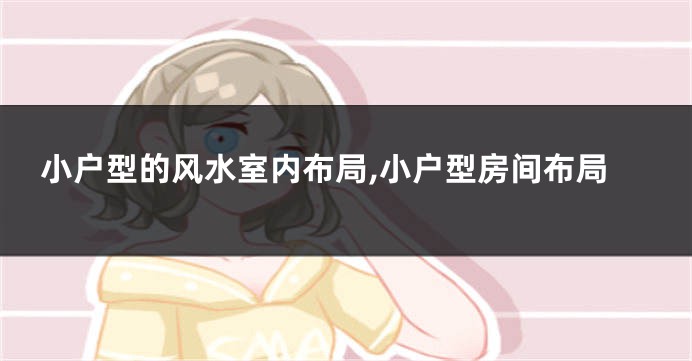 小户型的风水室内布局,小户型房间布局