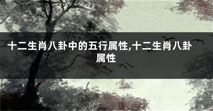 十二生肖八卦中的五行属性,十二生肖八卦属性