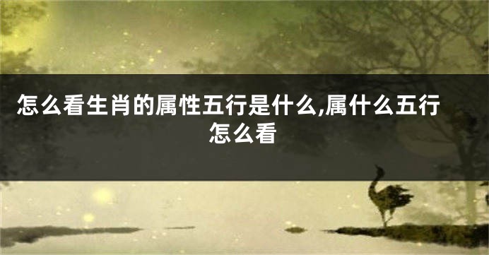 怎么看生肖的属性五行是什么,属什么五行怎么看