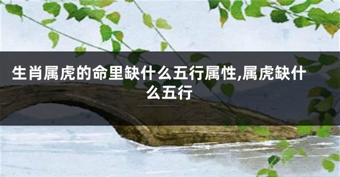生肖属虎的命里缺什么五行属性,属虎缺什么五行