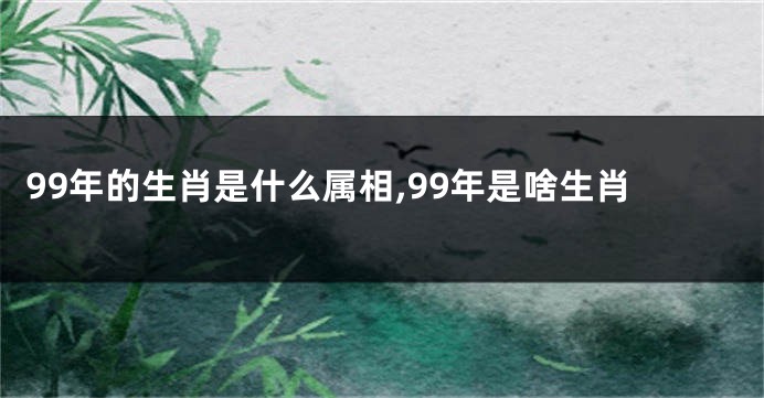 99年的生肖是什么属相,99年是啥生肖