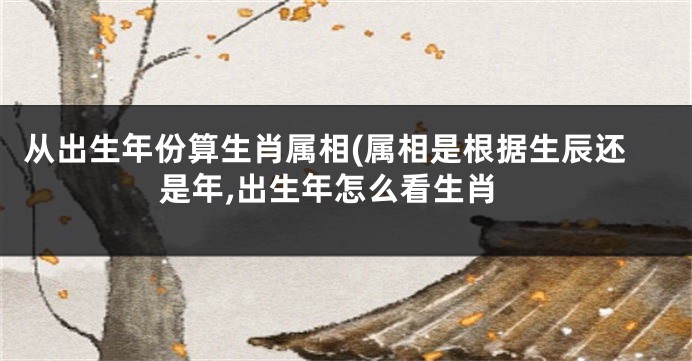 从出生年份算生肖属相(属相是根据生辰还是年,出生年怎么看生肖