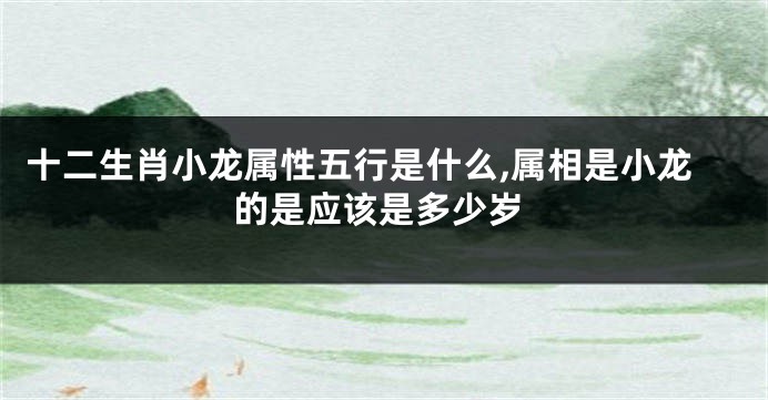 十二生肖小龙属性五行是什么,属相是小龙的是应该是多少岁