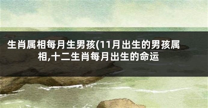 生肖属相每月生男孩(11月出生的男孩属相,十二生肖每月出生的命运