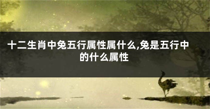 十二生肖中兔五行属性属什么,兔是五行中的什么属性