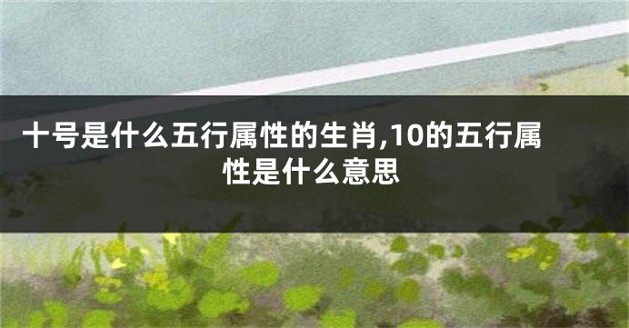 十号是什么五行属性的生肖,10的五行属性是什么意思