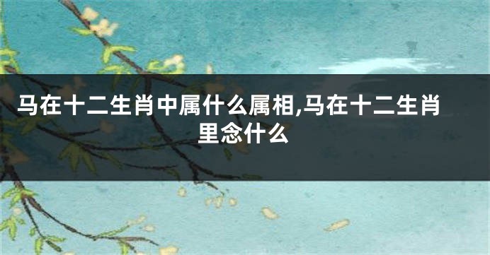 马在十二生肖中属什么属相,马在十二生肖里念什么