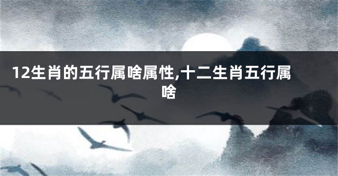 12生肖的五行属啥属性,十二生肖五行属啥