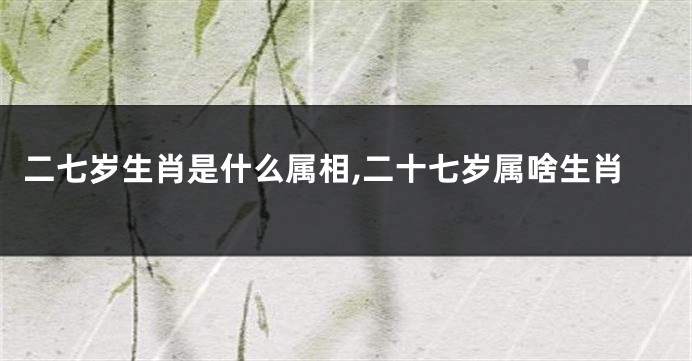 二七岁生肖是什么属相,二十七岁属啥生肖