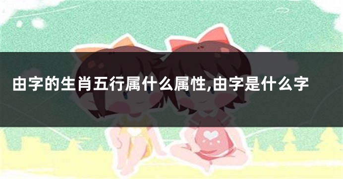 由字的生肖五行属什么属性,由字是什么字