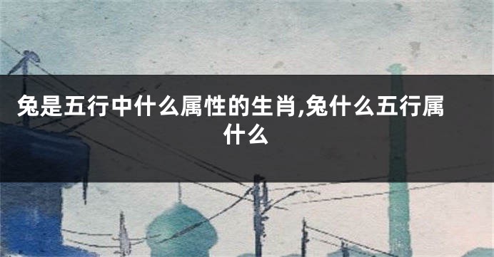 兔是五行中什么属性的生肖,兔什么五行属什么