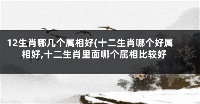 12生肖哪几个属相好(十二生肖哪个好属相好,十二生肖里面哪个属相比较好