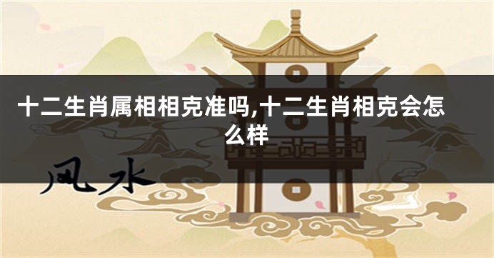 十二生肖属相相克准吗,十二生肖相克会怎么样
