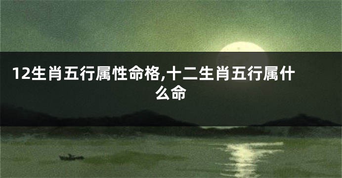 12生肖五行属性命格,十二生肖五行属什么命