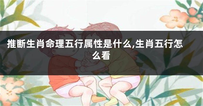 推断生肖命理五行属性是什么,生肖五行怎么看