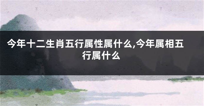 今年十二生肖五行属性属什么,今年属相五行属什么