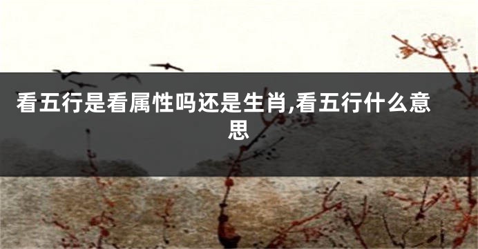 看五行是看属性吗还是生肖,看五行什么意思