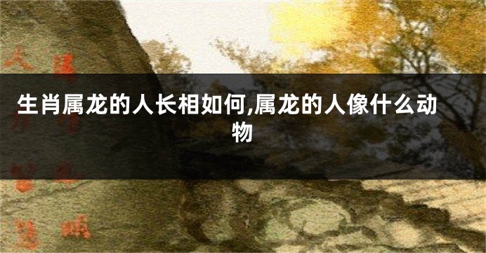 生肖属龙的人长相如何,属龙的人像什么动物