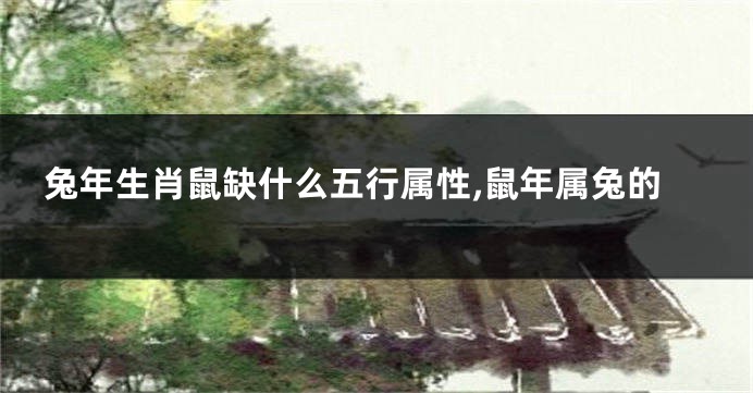 兔年生肖鼠缺什么五行属性,鼠年属兔的