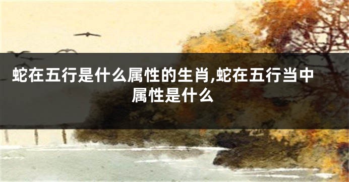 蛇在五行是什么属性的生肖,蛇在五行当中属性是什么