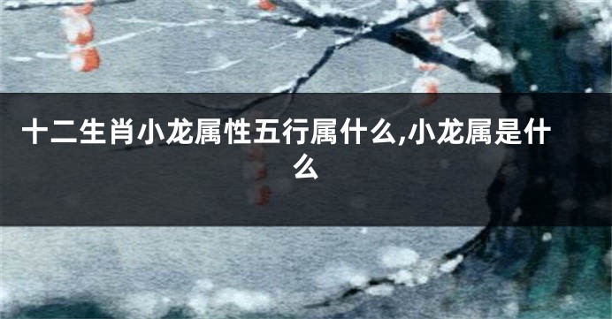十二生肖小龙属性五行属什么,小龙属是什么