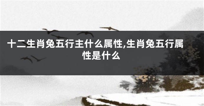 十二生肖兔五行主什么属性,生肖兔五行属性是什么