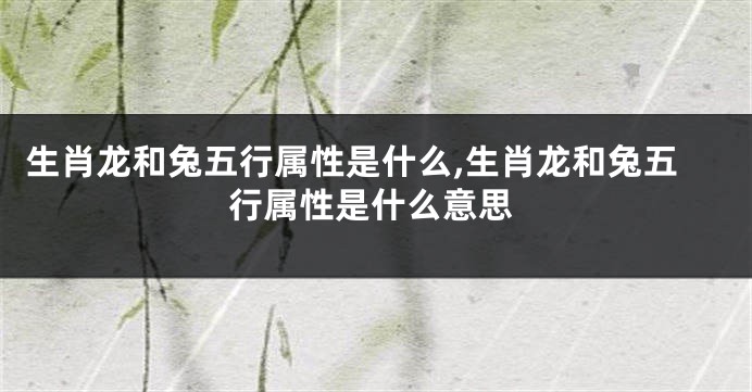 生肖龙和兔五行属性是什么,生肖龙和兔五行属性是什么意思