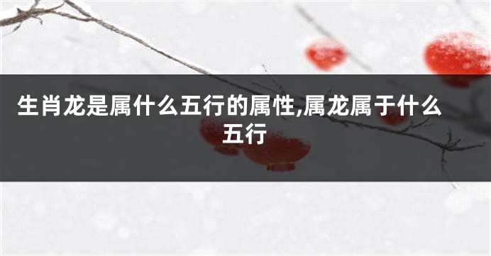 生肖龙是属什么五行的属性,属龙属于什么五行