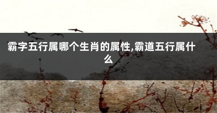 霸字五行属哪个生肖的属性,霸道五行属什么