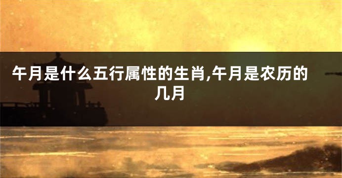 午月是什么五行属性的生肖,午月是农历的几月