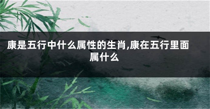 康是五行中什么属性的生肖,康在五行里面属什么