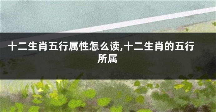 十二生肖五行属性怎么读,十二生肖的五行所属
