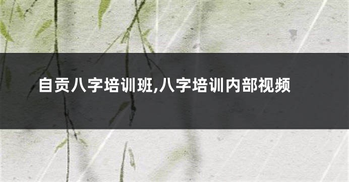 自贡八字培训班,八字培训内部视频