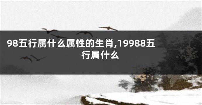 98五行属什么属性的生肖,19988五行属什么