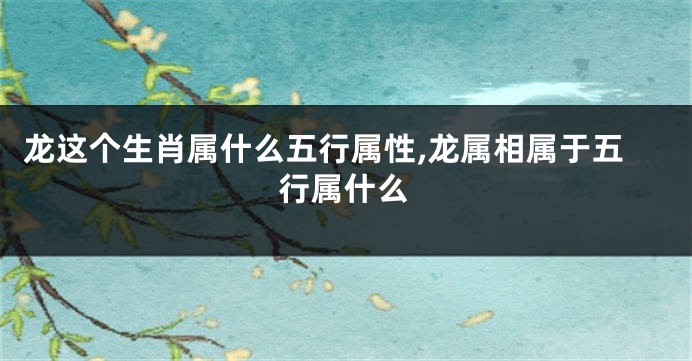 龙这个生肖属什么五行属性,龙属相属于五行属什么