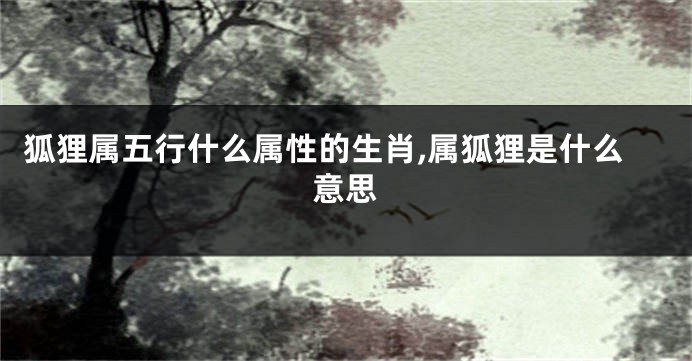 狐狸属五行什么属性的生肖,属狐狸是什么意思