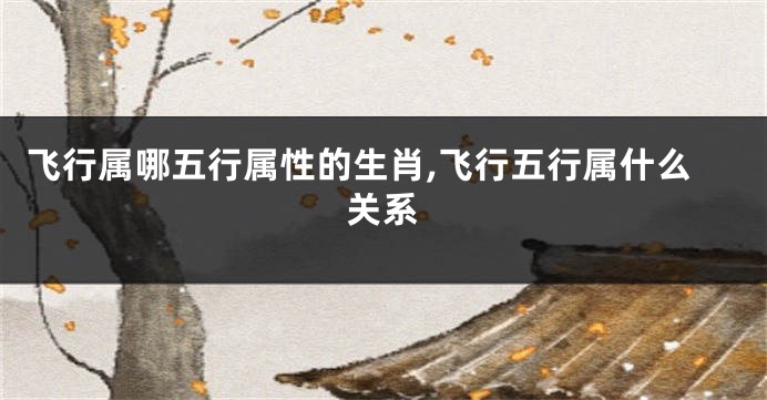 飞行属哪五行属性的生肖,飞行五行属什么关系
