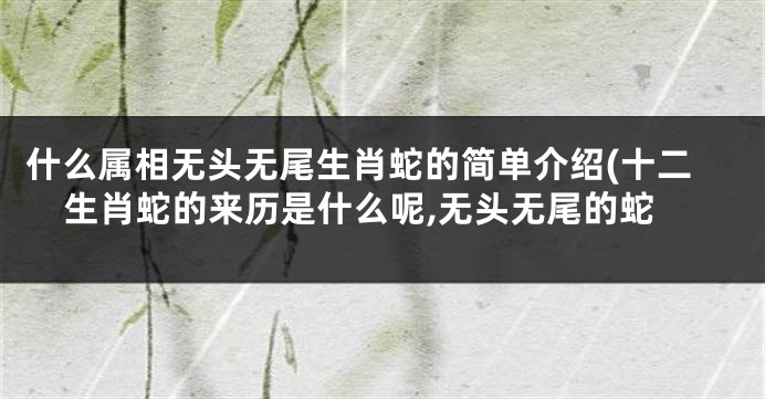 什么属相无头无尾生肖蛇的简单介绍(十二生肖蛇的来历是什么呢,无头无尾的蛇