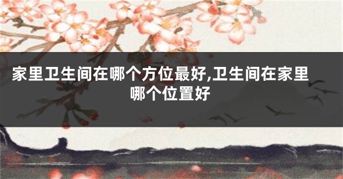 家里卫生间在哪个方位最好,卫生间在家里哪个位置好