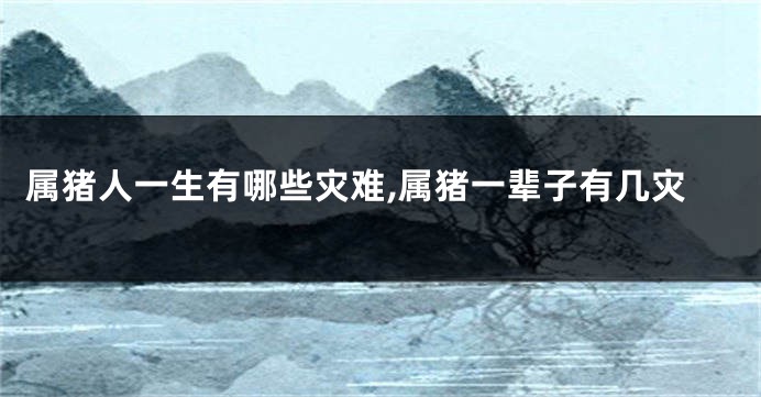 属猪人一生有哪些灾难,属猪一辈子有几灾