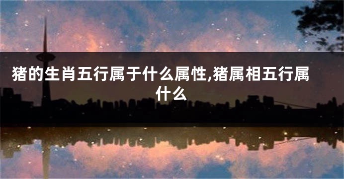猪的生肖五行属于什么属性,猪属相五行属什么