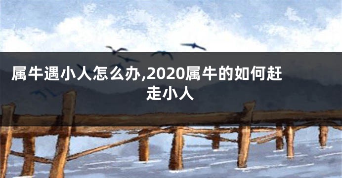 属牛遇小人怎么办,2020属牛的如何赶走小人