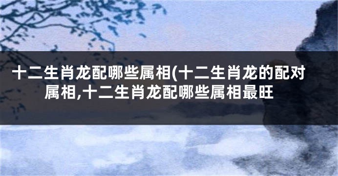 十二生肖龙配哪些属相(十二生肖龙的配对属相,十二生肖龙配哪些属相最旺