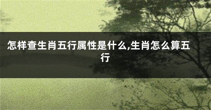 怎样查生肖五行属性是什么,生肖怎么算五行