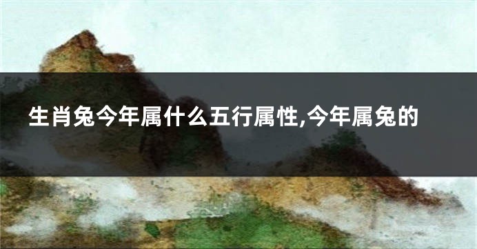生肖兔今年属什么五行属性,今年属兔的